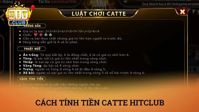 Catte hitclub – Cách giữ tùng và cơ hội chinh phục sảnh cược đẳng cấp 3 Các thuật ngữ và quy định về tính tiền trong Catte Hitclub