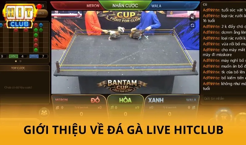 Đá gà live Hitclub - Theo dõi các trận đấu hấp dẫn theo thời gian thực 2 Giới thiệu về Đá Gà Live Hitclub