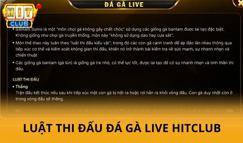 Đá gà live Hitclub - Theo dõi các trận đấu hấp dẫn theo thời gian thực 3 Luật thi đấu Đá Gà Live Hitclub